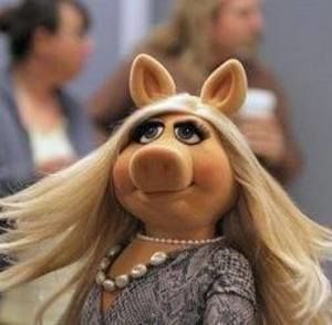 Meet your Posher, Elizabeth